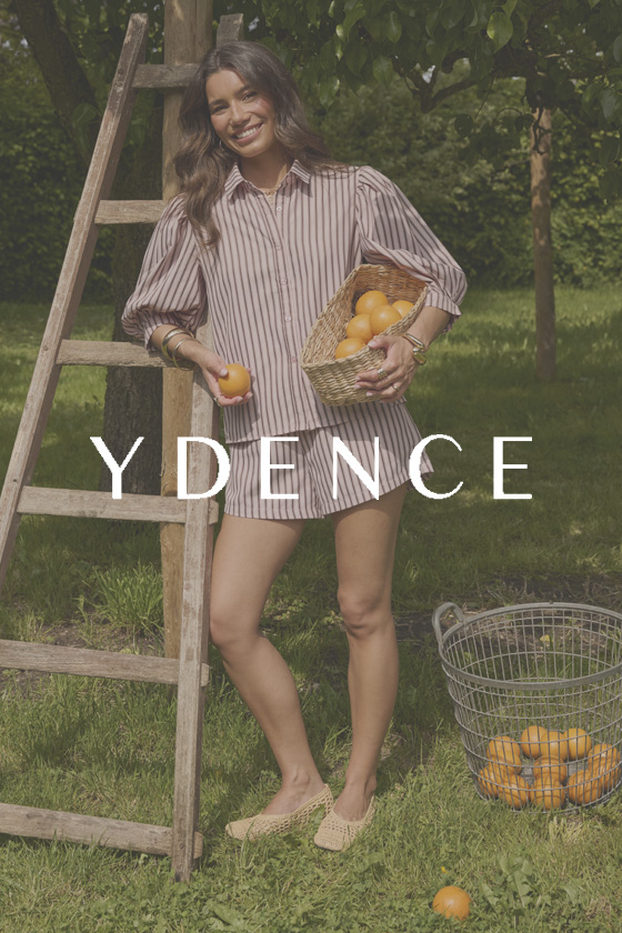 Sans ydence