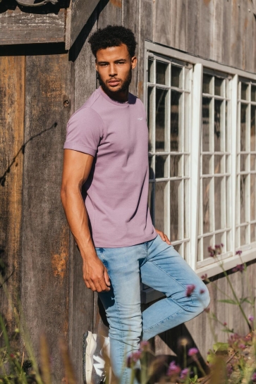 Cars FESTER TS 64437 Berry