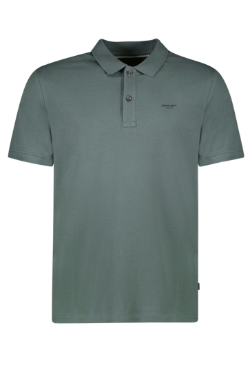 Cars DARIO POLO 60766 Moss