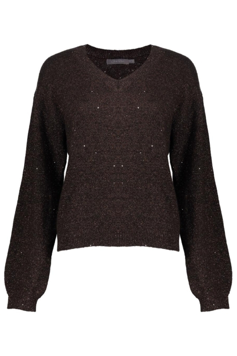 Geisha bruine dames trui | Vooraanzicht