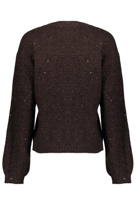 Geisha bruine dames trui | Achteraanzicht