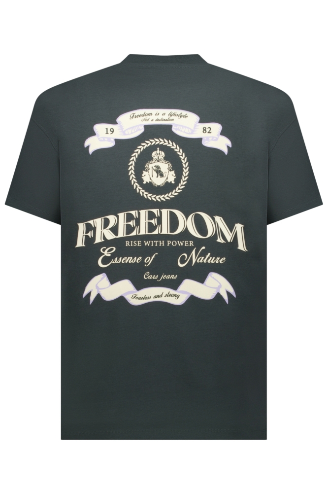 Cars grijze heren t-shirt | Achteraanzicht