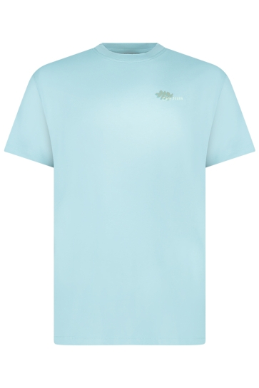 Cars pluyo ts backprint purple Groen