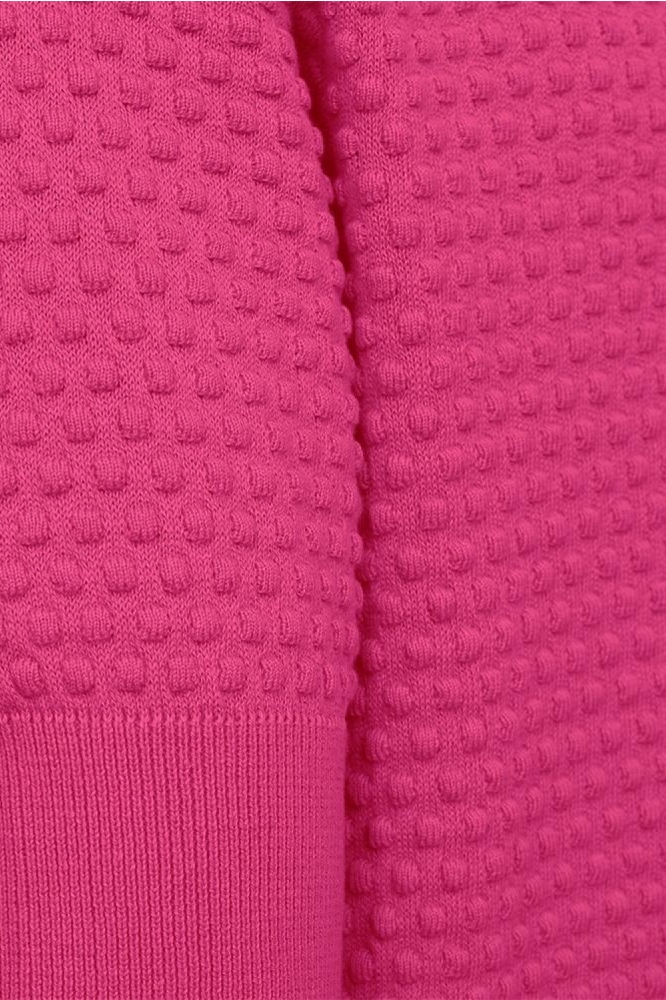 Freequent roze dames trui | Kleurstaal