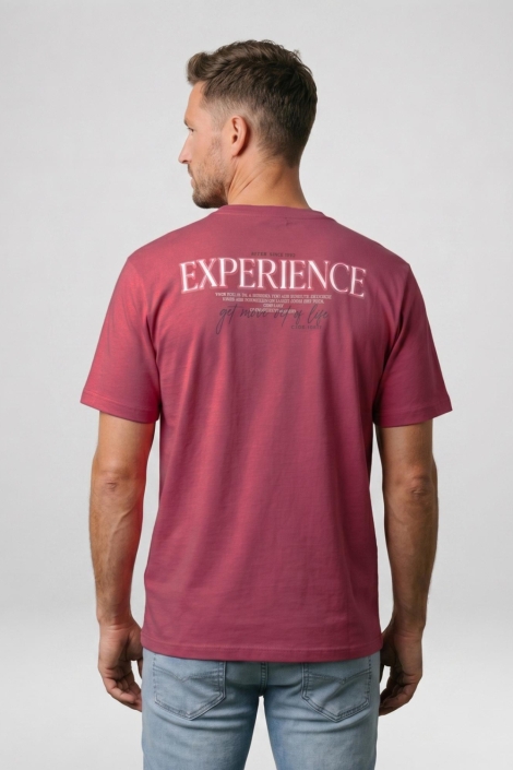 Cars bordeaux heren t-shirt | Model achteraanzicht