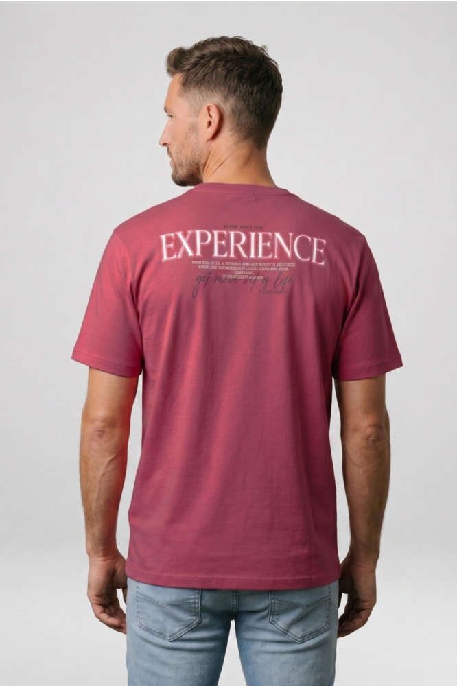 Cars bordeaux heren t-shirt | Model achteraanzicht