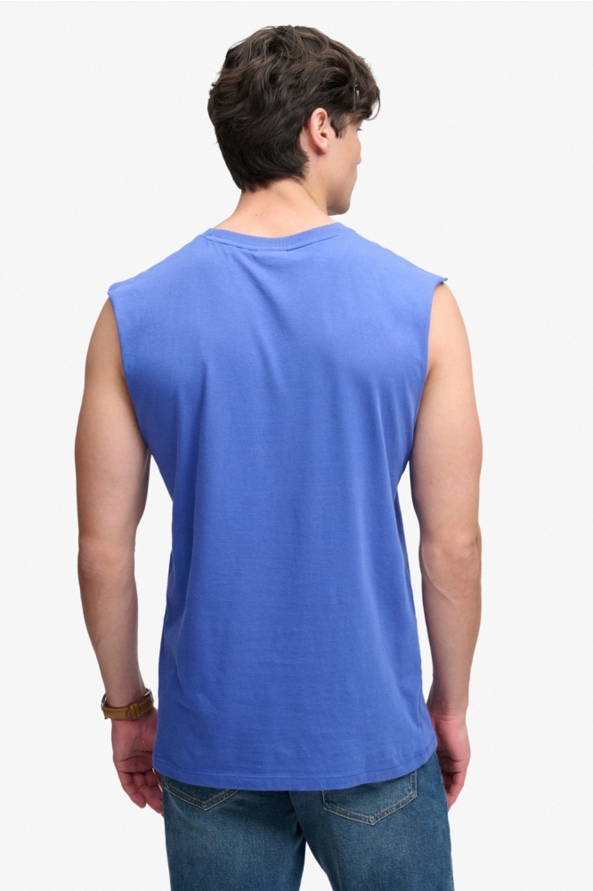 Superdry blauwe heren t-shirt | Model achteraanzicht