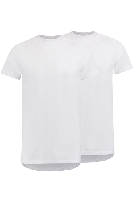 RJ Bodywear witte heren t-shirt | 