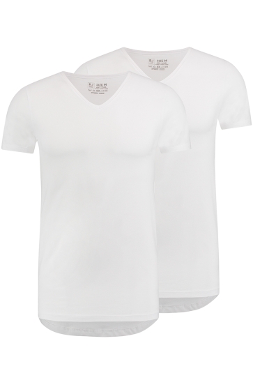 RJ Bodywear T-shirt DEN BOSCH V NECK 2PACK WIT