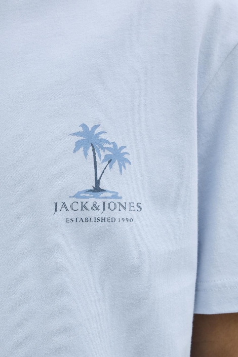 Jack & Jones blauwe heren t-shirt | Kleurstaal