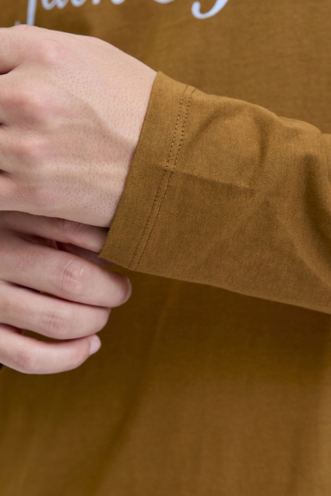 Jack & Jones camel heren t-shirt | Kleurstaal