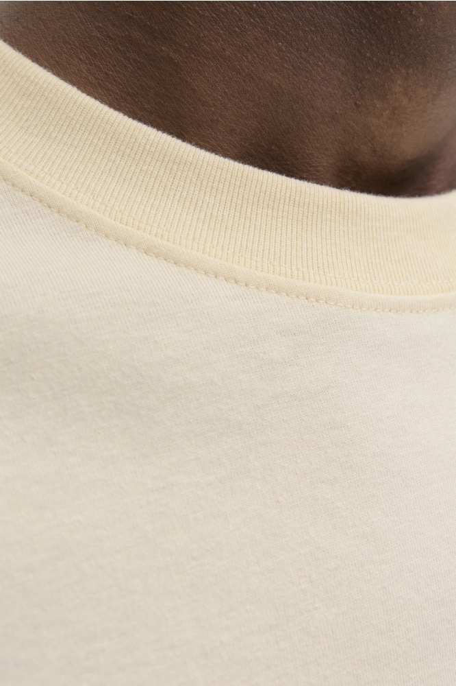 Jack & Jones beige heren t-shirt | Kleurstaal