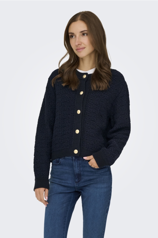 Jacqueline de Yong blauwe dames vest | Model achteraanzicht