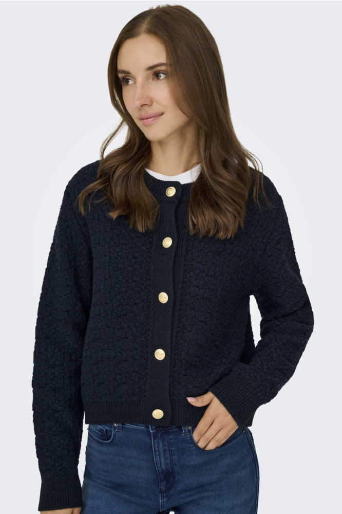 Jacqueline de Yong blauwe dames vest | Model vooraanzicht