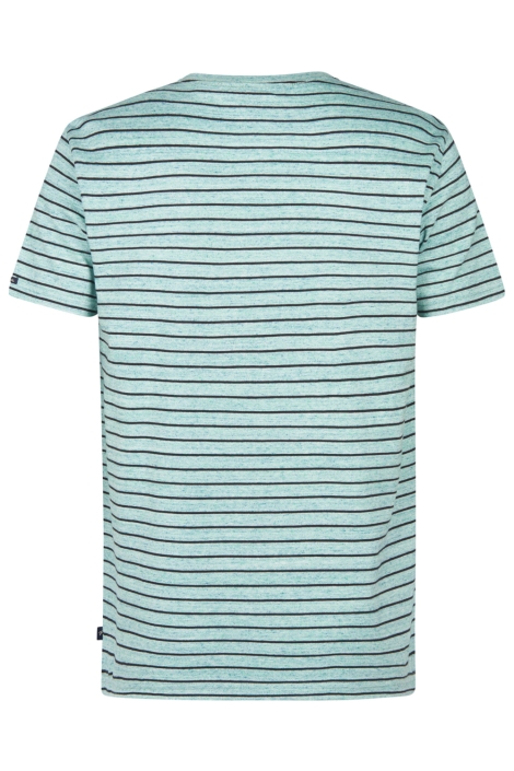 Petrol Industries groene heren t-shirt | Achteraanzicht