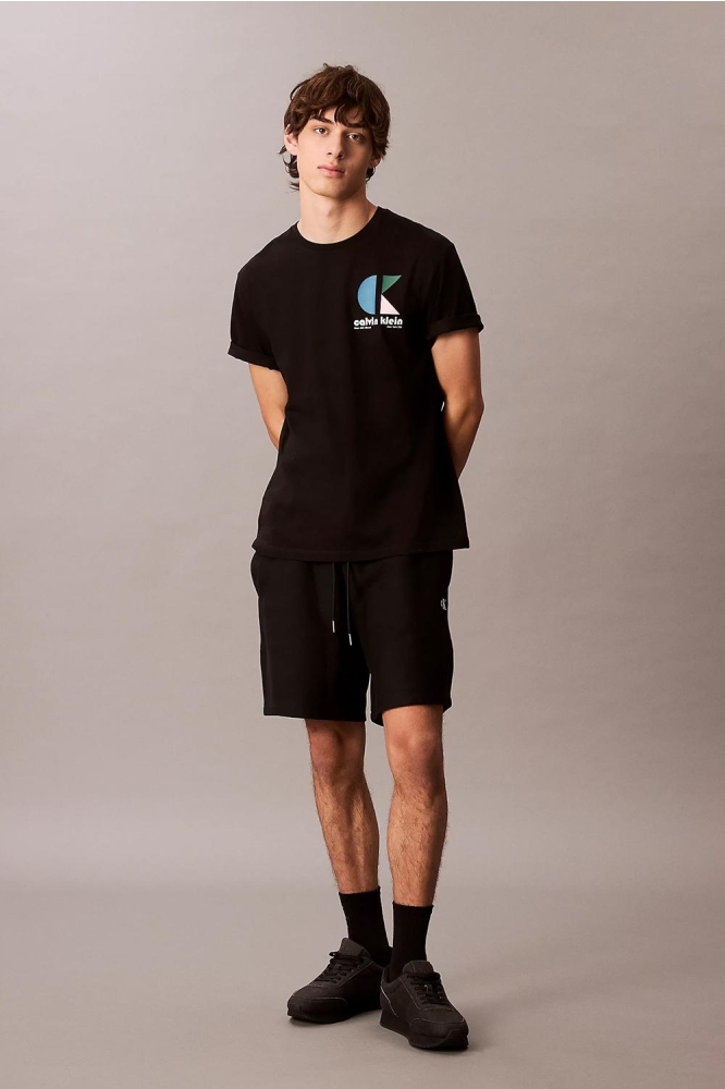 Calvin Klein zwarte heren t-shirt | Model
