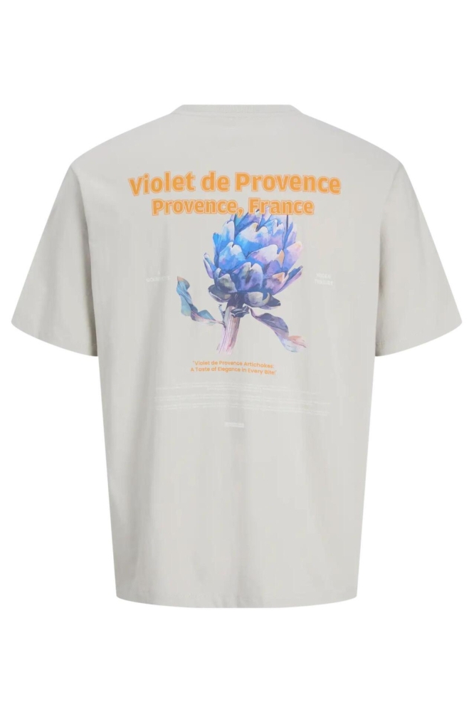 Jack & Jones grijze heren t-shirt | Achteraanzicht