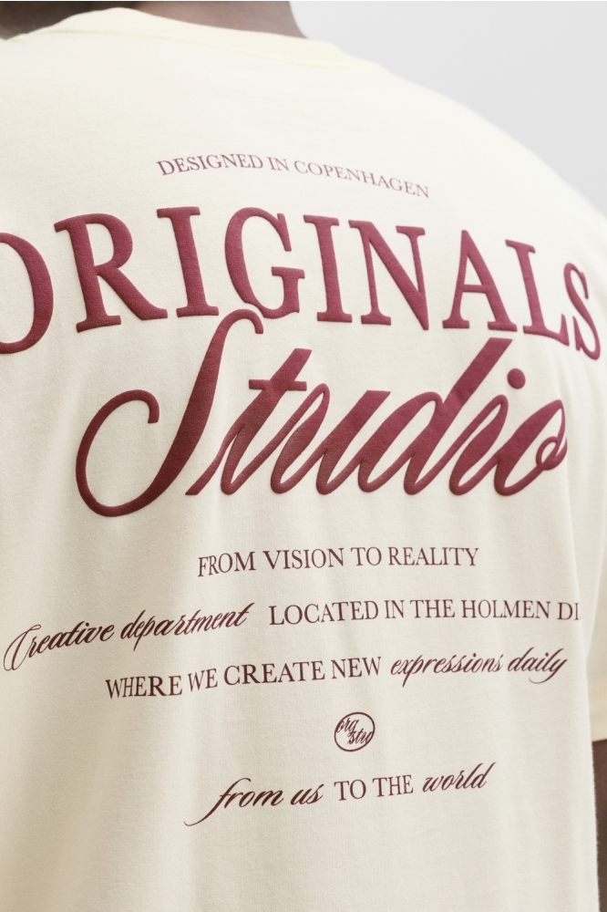 Jack & Jones beige heren t-shirt | Close up