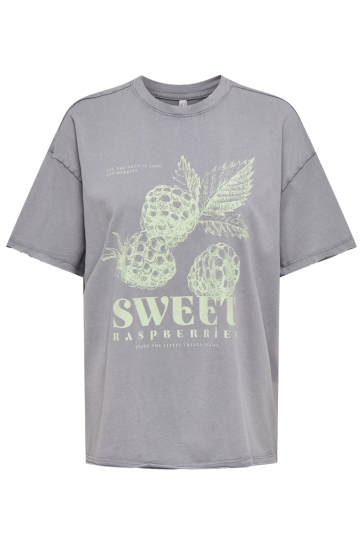 Only ONLKINNA LIFE S/S OVERSIZE TOP BOX 15359013 Silver Sconce/Kinna rasp