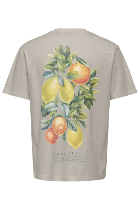 Only & Sons beige heren t-shirt | Achteraanzicht