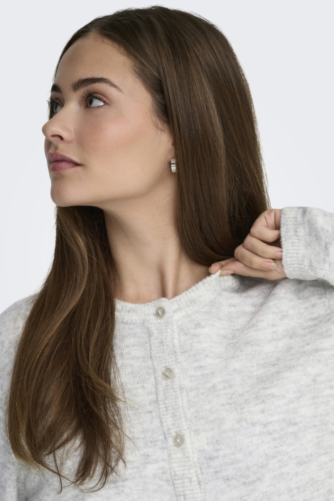 Only grijze dames vest | Close up