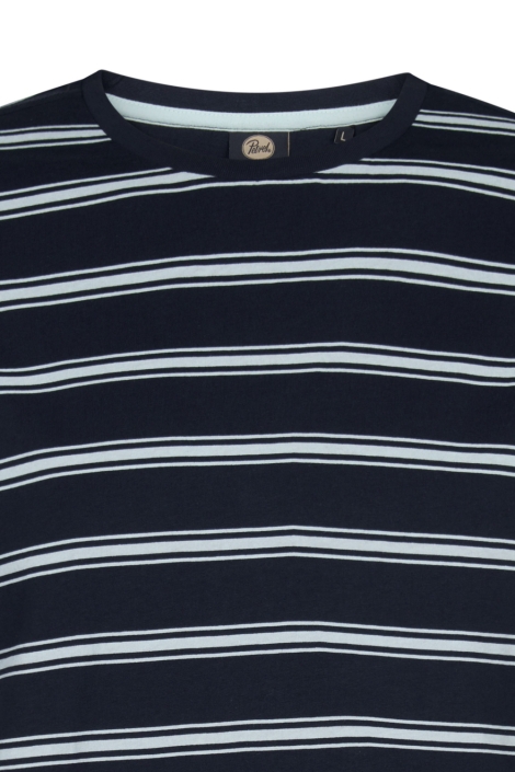 Petrol Industries blauwe heren t-shirt | Kleurstaal