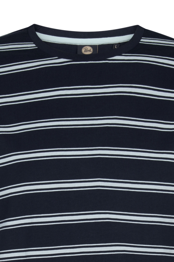 Petrol Industries blauwe heren t-shirt | Kleurstaal