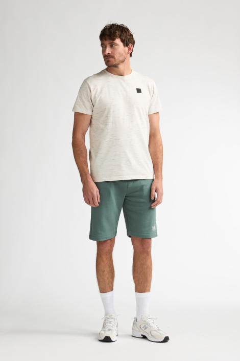 Petrol Industries beige heren t-shirt | Model