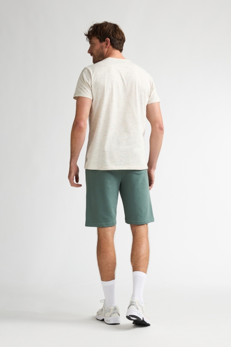 Petrol Industries beige heren t-shirt | Model