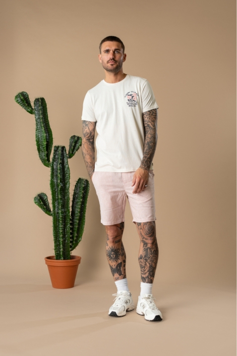 Petrol Industries beige heren t-shirt | Model