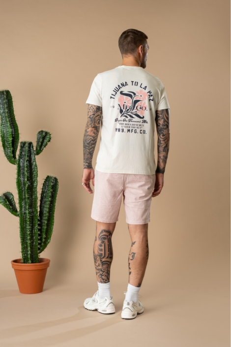 Petrol Industries beige heren t-shirt | Model