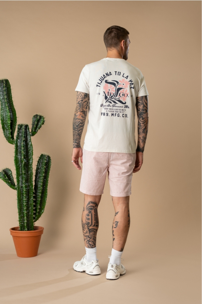Petrol Industries beige heren t-shirt | Model