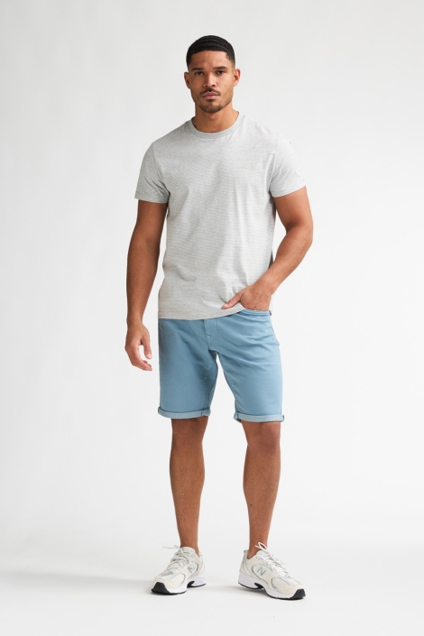 Petrol Industries grijze heren t-shirt | Model