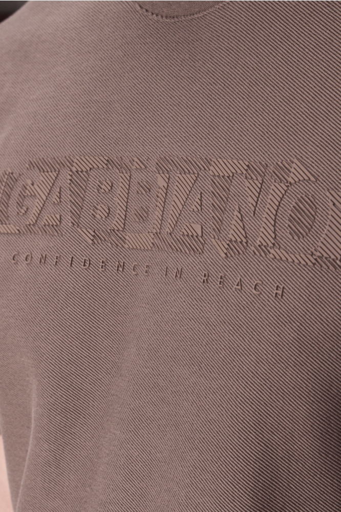 Gabbiano bruine heren t-shirt | Kleurstaal