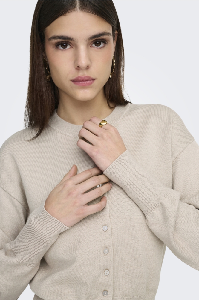 Only beige dames vest | Close up