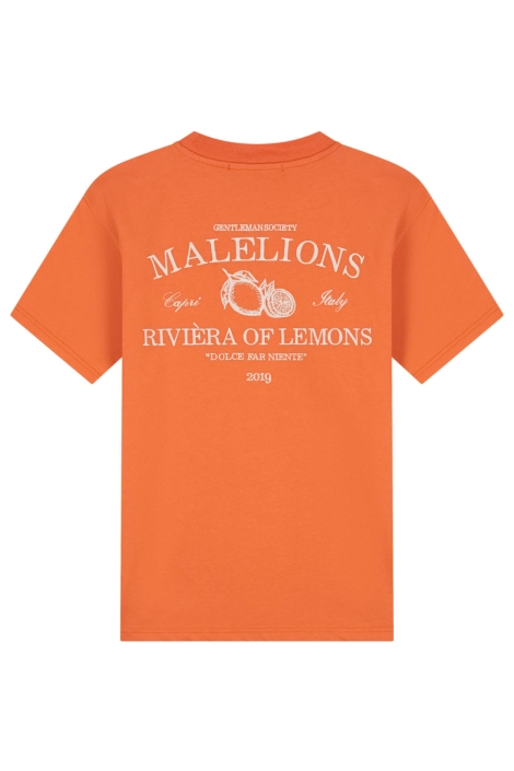 Malelions oranje heren t-shirt | Achteraanzicht