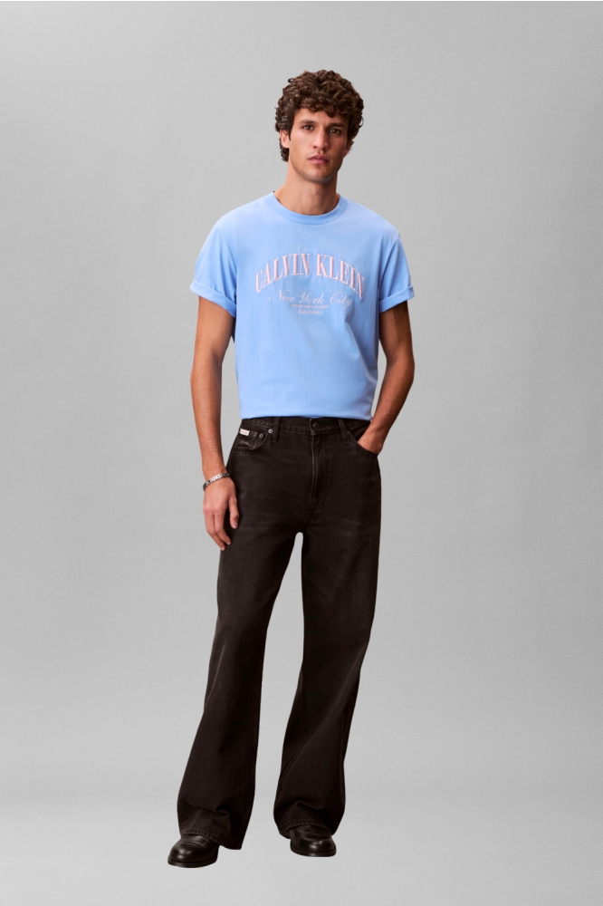 Calvin Klein blauwe heren t-shirt | Model