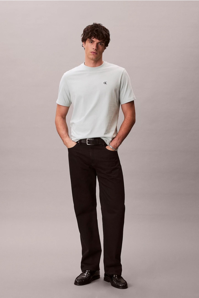 Calvin Klein groene heren t-shirt | Model