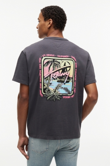 Tommy Jeans tjm rlx novelty ss tee Grijs