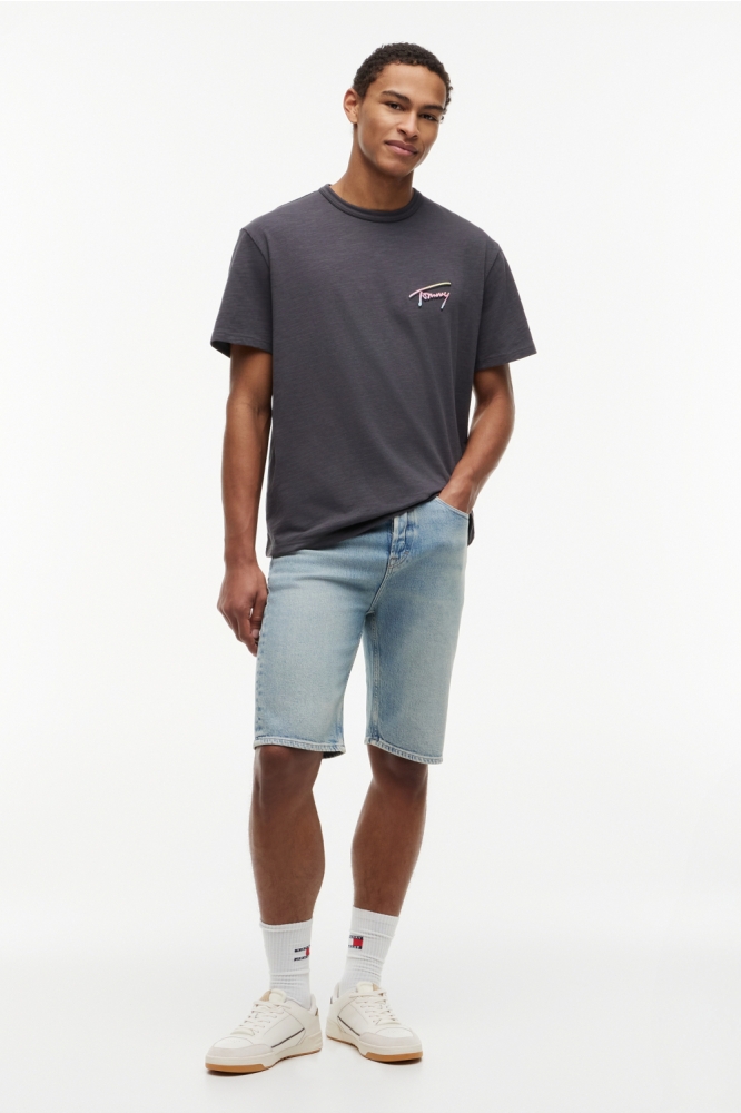 Tommy Jeans grijze heren t-shirt | Model