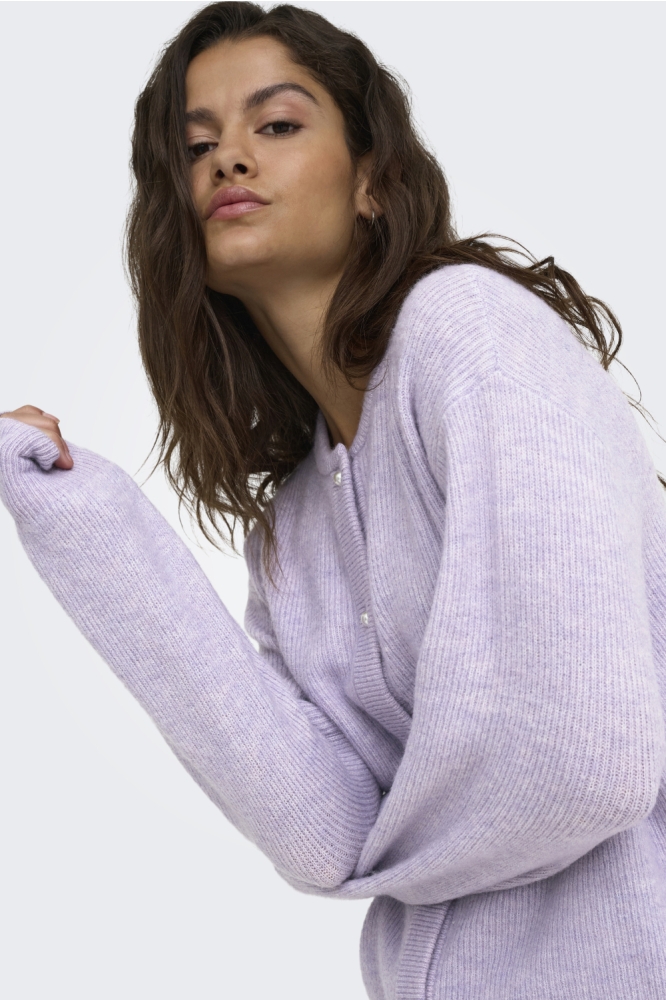 Jacqueline de Yong paarse dames vest | Model zijaanzicht
