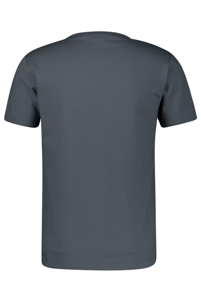 Lerros grijze heren t-shirt | Achteraanzicht