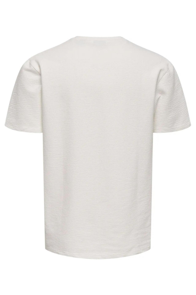Only & Sons beige heren t-shirt | Achteraanzicht
