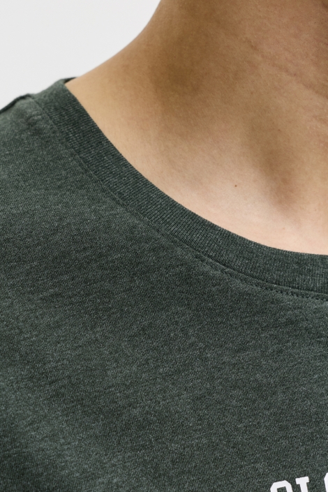Jack & Jones groene heren t-shirt | Kleurstaal