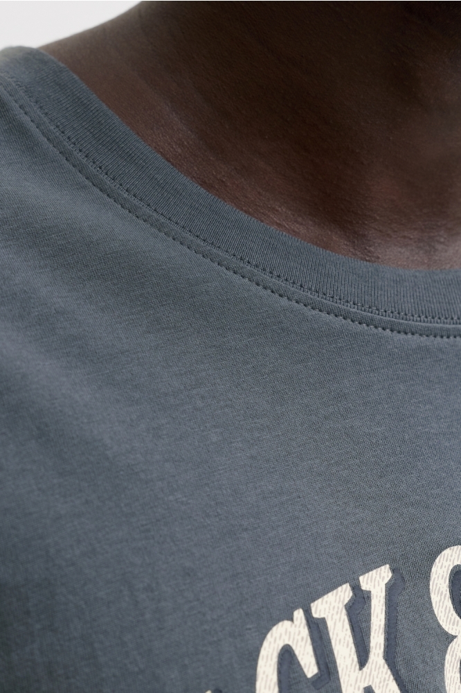 Jack & Jones blauwe heren t-shirt | Kleurstaal