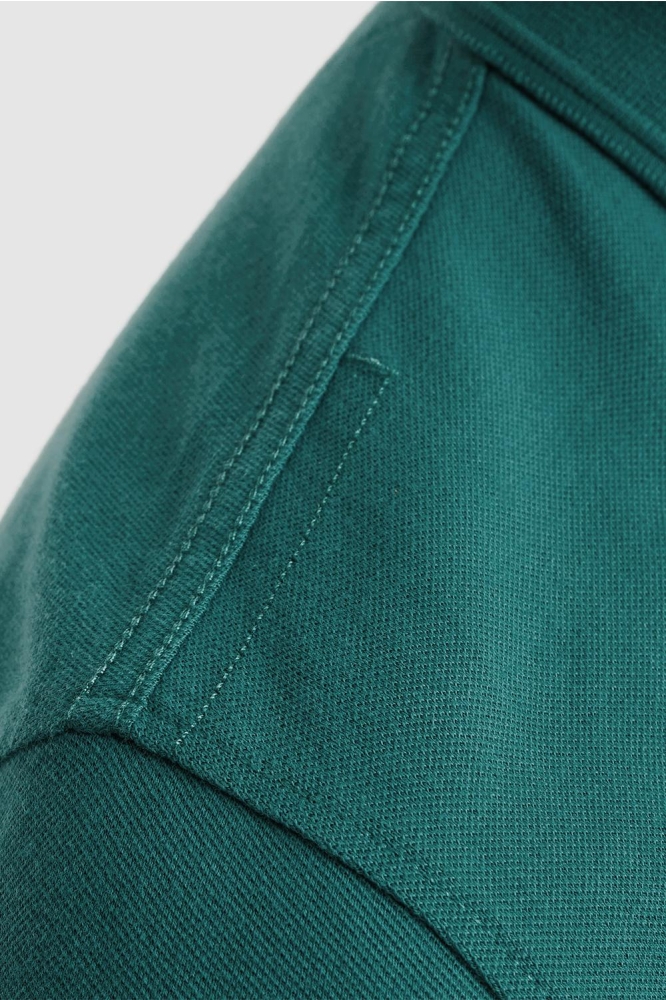 PME legend groene heren polo | Kleurstaal