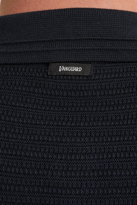 Vanguard blauwe heren polo | Kleurstaal