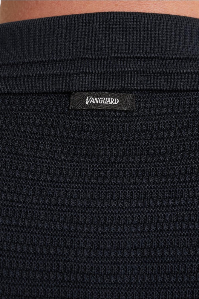 Vanguard blauwe heren polo | Kleurstaal