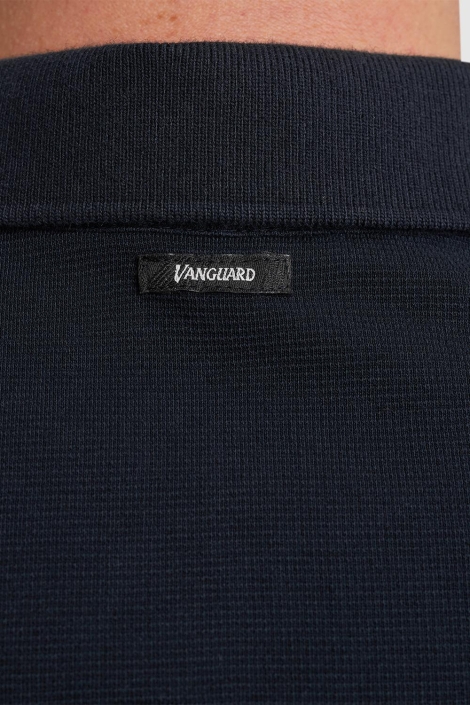 Vanguard blauwe heren polo | Kleurstaal