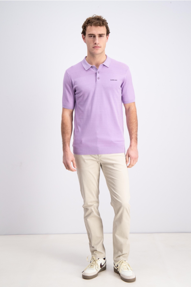 Gabbiano paarse heren polo | Model